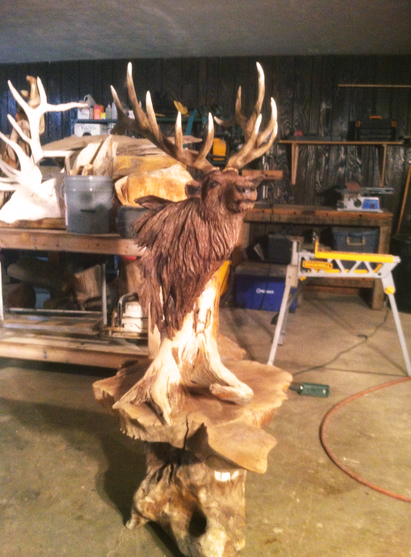 Elk
